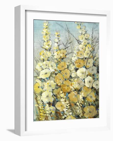 Cluster of Hollyhock II-Tim O'toole-Framed Art Print