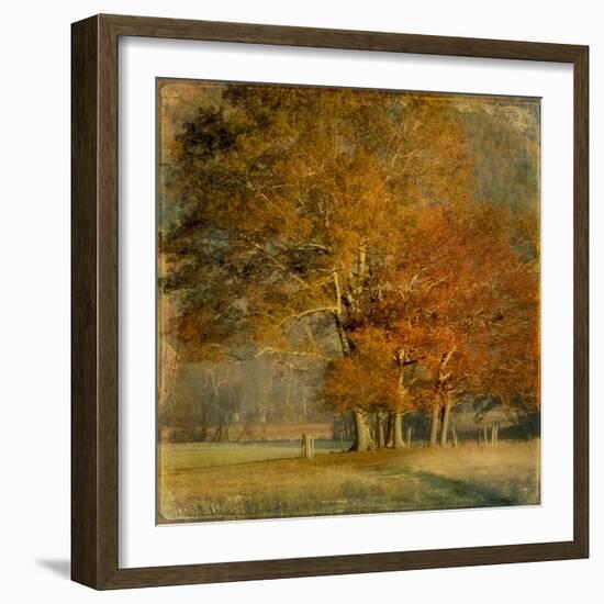 Cluster of Oaks-Danny Head-Framed Art Print