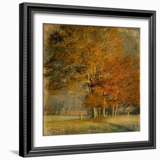 Cluster of Oaks-Danny Head-Framed Art Print