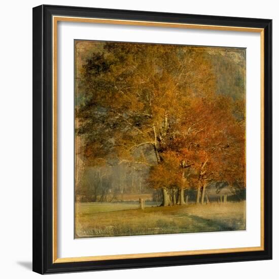 Cluster of Oaks-Danny Head-Framed Art Print