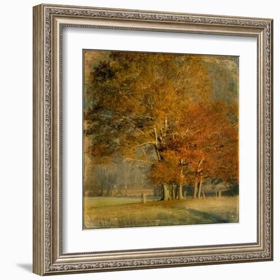 Cluster of Oaks-Danny Head-Framed Art Print