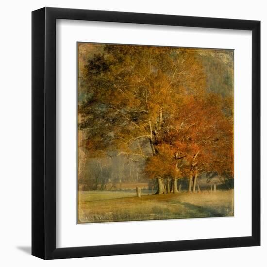 Cluster of Oaks-Danny Head-Framed Art Print