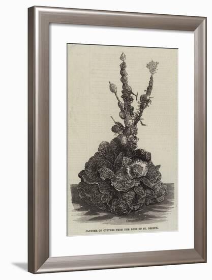 Cluster of Oysters from the Beds of St Brieux-null-Framed Giclee Print
