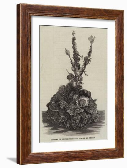 Cluster of Oysters from the Beds of St Brieux-null-Framed Giclee Print