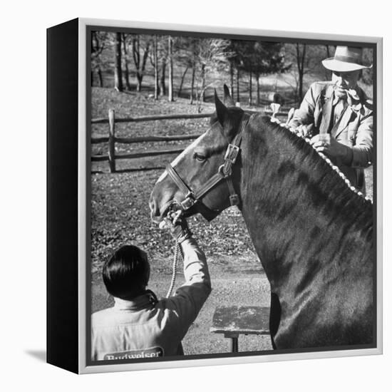 Clydesdale Horse, Used for Brewery Promotion Purposes, on the Anheuser-Busch Breeding Farm-Margaret Bourke-White-Framed Premier Image Canvas