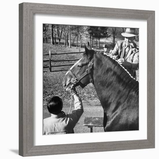 Clydesdale Horse, Used for Brewery Promotion Purposes, on the Anheuser-Busch Breeding Farm-Margaret Bourke-White-Framed Photographic Print