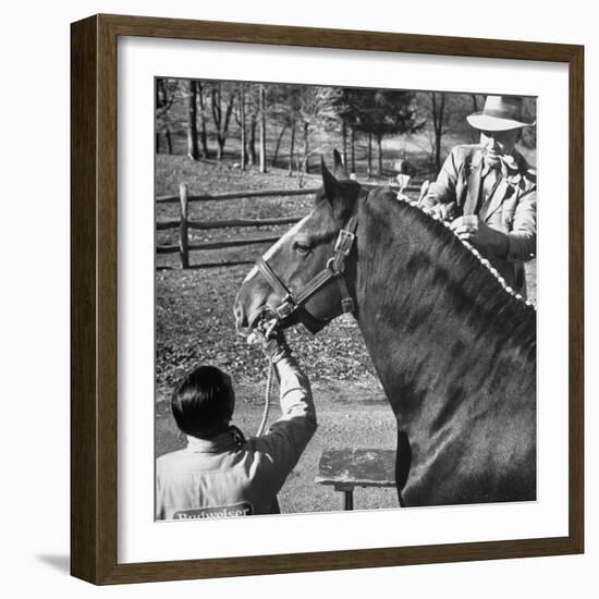 Clydesdale Horse, Used for Brewery Promotion Purposes, on the Anheuser-Busch Breeding Farm-Margaret Bourke-White-Framed Photographic Print