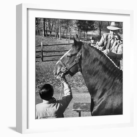 Clydesdale Horse, Used for Brewery Promotion Purposes, on the Anheuser-Busch Breeding Farm-Margaret Bourke-White-Framed Photographic Print