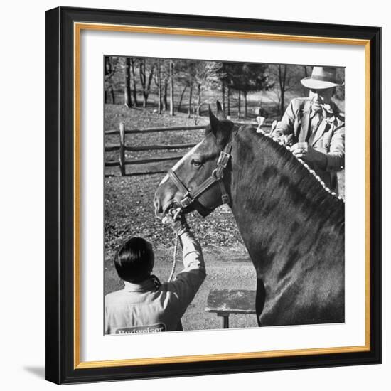 Clydesdale Horse, Used for Brewery Promotion Purposes, on the Anheuser-Busch Breeding Farm-Margaret Bourke-White-Framed Photographic Print