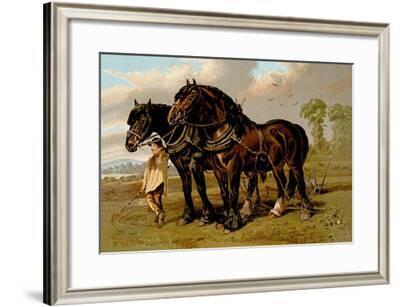 Clydesdale Stallion And Mare Art Print Samuel Sidney Art Com