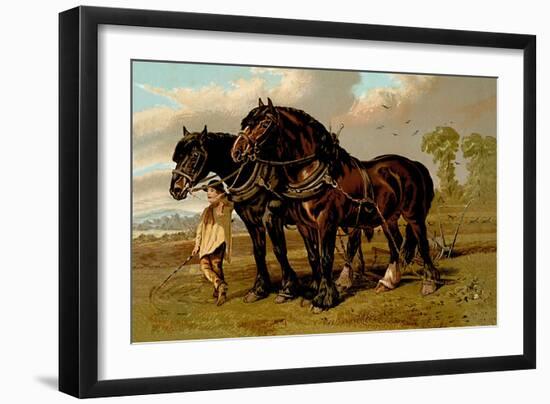 Clydesdale Stallion and Mare-Samuel Sidney-Framed Art Print