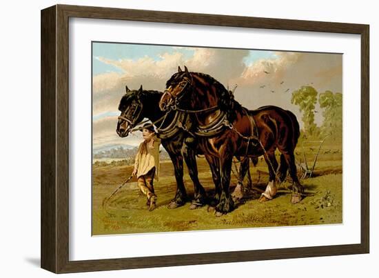 Clydesdale Stallion and Mare-Samuel Sidney-Framed Art Print