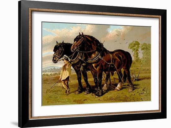 Clydesdale Stallion and Mare-Samuel Sidney-Framed Art Print