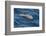 Clymene Dolphin (Stenella Clymene) Breaking the Surface-Mick Baines-Framed Photographic Print