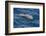 Clymene Dolphin (Stenella Clymene) Breaking the Surface-Mick Baines-Framed Photographic Print