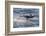 Clymene Dolphin (Stenella Clymene) Spinning, Caught Belly Uppermost, Senegal, West Africa, Africa-Mick Baines-Framed Photographic Print