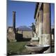 Photographic Print
