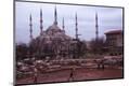 Photographic Print