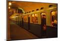 Premium Photographic Print