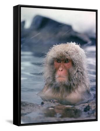 38Explore × NATURAL MOUNTAIN MONKEYS 38Explore × NATURAL MOUNTAIN MONKEYS