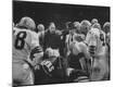 Premium Photographic Print