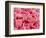 Coagulated Red Blood Cells-Micro Discovery-Framed Photographic Print