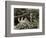 Coal Miners Working One Thousand Feet Below Surface-null-Framed Photographic Print