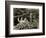 Coal Miners Working One Thousand Feet Below Surface-null-Framed Photographic Print