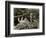 Coal Miners Working One Thousand Feet Below Surface-null-Framed Photographic Print