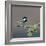Coal tit (Periparus ater) on a branch with lichen, Vendee, France, December-Loic Poidevin-Framed Photographic Print
