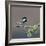 Coal tit (Periparus ater) on a branch with lichen, Vendee, France, December-Loic Poidevin-Framed Photographic Print