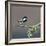 Coal tit (Periparus ater) on a branch with lichen, Vendee, France, December-Loic Poidevin-Framed Photographic Print