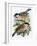 Coal Tit (Top) and Marsh Tit (Bottom)-English-Framed Giclee Print