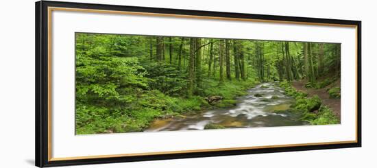 Coarse Brook, Gerold Villagesau, Black Forest, Baden-Baden, Baden-Wurttemberg, Germany-Rainer Mirau-Framed Photographic Print