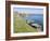 Coast at St. Govan, Pembrokeshire Coast National Park, Pembrokeshire, Wales, United Kingdom, Europe-Jean Brooks-Framed Photographic Print