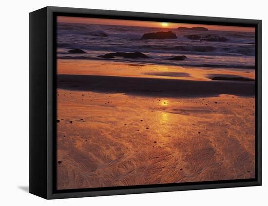 Coast at sunset, Seal Rock State Park, Oregon, USA-Charles Gurche-Framed Premier Image Canvas