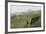 Coast Looking South with the Silhouette of Bamburgh Castle on the Horizon Bamburgh England-Natalie Tepper-Framed Photo