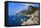 Coast near Portovenere, Liguria, Italy, Europe-Hans-Peter Merten-Framed Premier Image Canvas