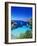 Coast Nearby Portinatx, Ibiza, Balearic Islands, Spain-Katja Kreder-Framed Photographic Print