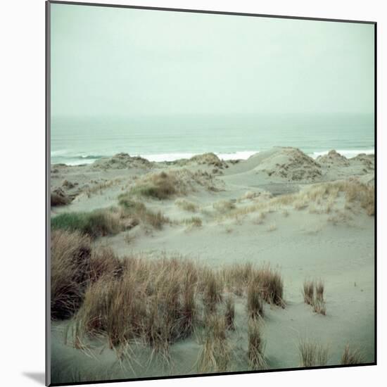 Coast of Oregon-Eliot Elisofon-Mounted Photographic Print