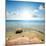 Coast of Red Sea at the Sunlight-Givaga-Mounted Photographic Print