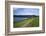 Coast Path to Kingsand and Cawsand, Rame Peninsula, Cornwall, England, United Kingdon, Europe-Rob Cousins-Framed Photographic Print