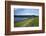 Coast Path to Kingsand and Cawsand, Rame Peninsula, Cornwall, England, United Kingdon, Europe-Rob Cousins-Framed Photographic Print