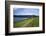 Coast Path to Kingsand and Cawsand, Rame Peninsula, Cornwall, England, United Kingdon, Europe-Rob Cousins-Framed Photographic Print