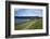 Coast Path to Kingsand and Cawsand, Rame Peninsula, Cornwall, England, United Kingdon, Europe-Rob Cousins-Framed Photographic Print