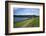 Coast Path to Kingsand and Cawsand, Rame Peninsula, Cornwall, England, United Kingdon, Europe-Rob Cousins-Framed Photographic Print