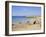 Coast, Quiberon, Cote Sauvage, Brittany, France, Europe-Firecrest Pictures-Framed Photographic Print