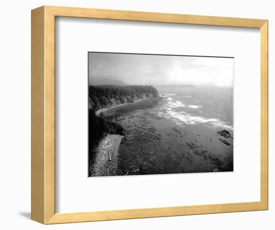 Coast South of Cape Flattery, 1910-Asahel Curtis-Framed Premium Giclee Print