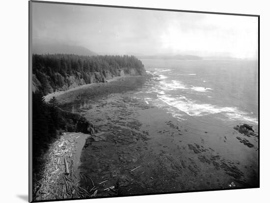 Coast South of Cape Flattery, 1910-Asahel Curtis-Mounted Giclee Print