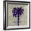 Coastal 2-David Dauncey-Framed Giclee Print